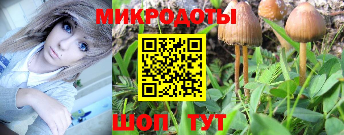 Галлюциногенные грибы MAGIC MUSHROOMS Елизово