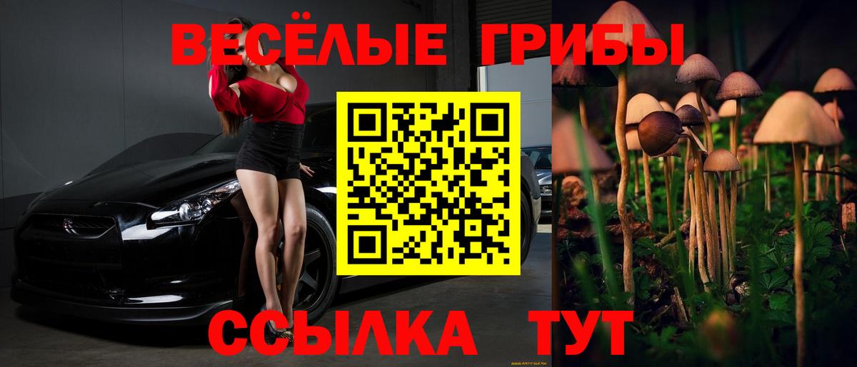 Псилоцибиновые грибы GOLDEN TEACHER  Галлюциногенные грибы Magic Shrooms  Вход с VPN  Елизово 